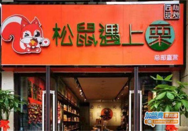 松鼠遇上栗休闲食品加盟费