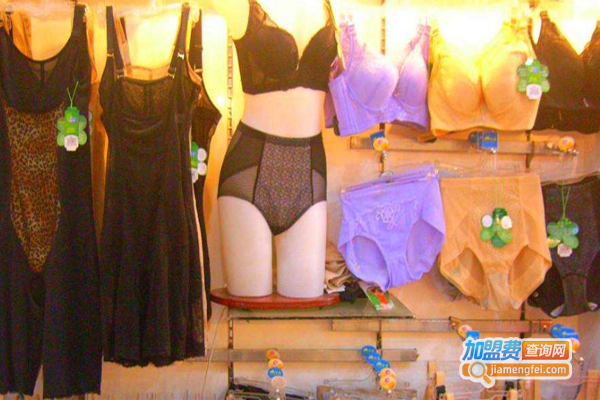 佳盛轩内衣加盟费