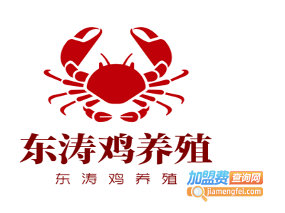 东涛鸡养殖