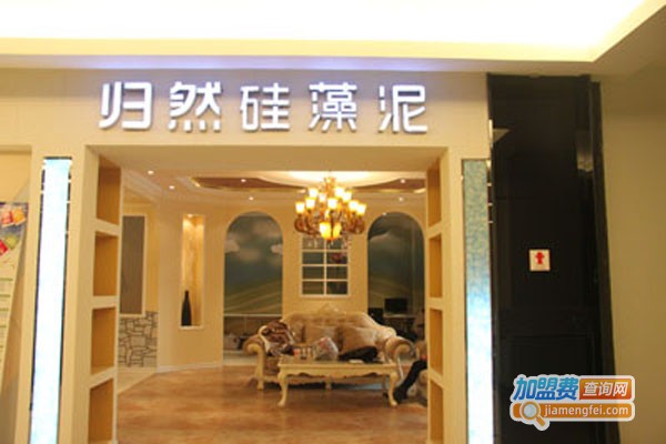 归然硅藻泥加盟