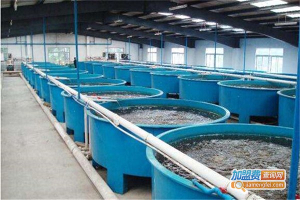 渔乐仙宫养殖设备加盟费