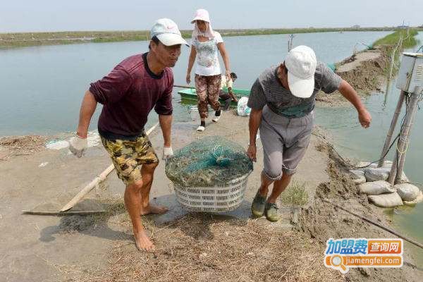永和9号对虾养殖加盟费