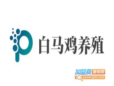 白马鸡养殖
