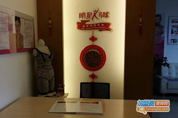 明星妈咪产后恢复加盟费