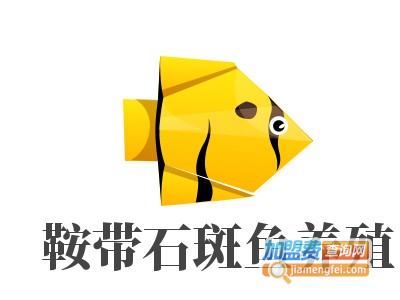 鞍带石斑鱼养殖加盟费