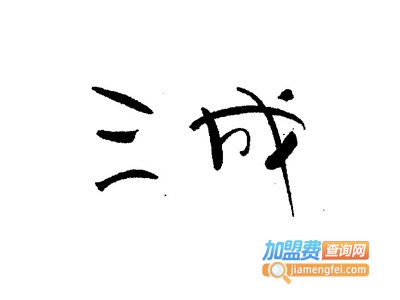 三成集成墙板