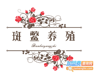 斑鳖养殖加盟费