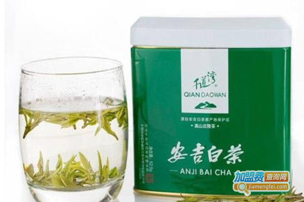 千道湾白茶加盟