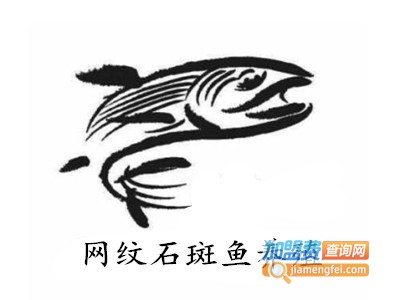 网纹石斑鱼养殖加盟