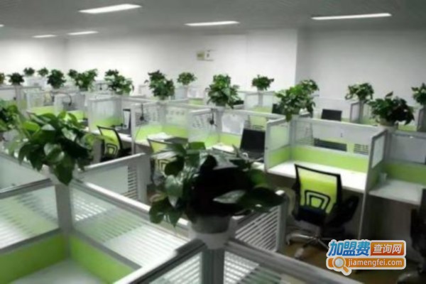 飞越教育加盟费