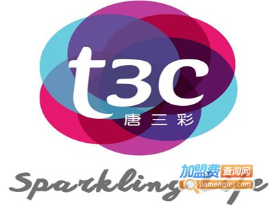 T3C皮肤管理加盟