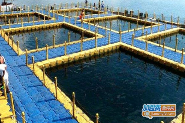 永和9号水产养殖加盟费