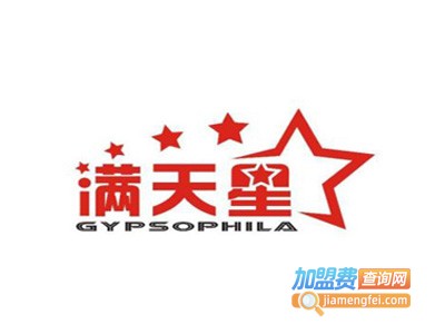 满天星童装加盟费