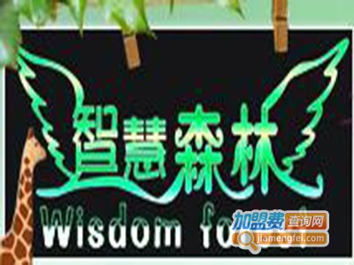 智慧森林童装加盟费