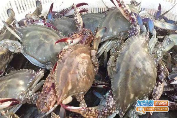 潮汕赤蟹养殖加盟费