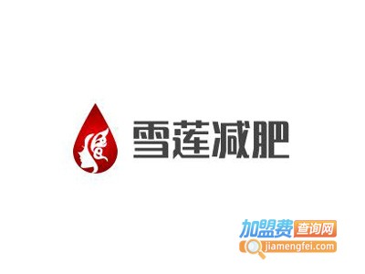 雪莲减肥加盟费