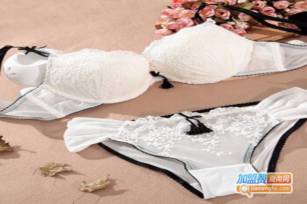 奈丝贝儿内衣加盟费