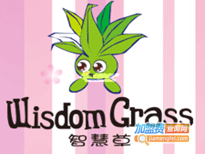 智慧草6元童装加盟费