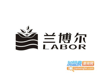 兰博尔少儿英语加盟费