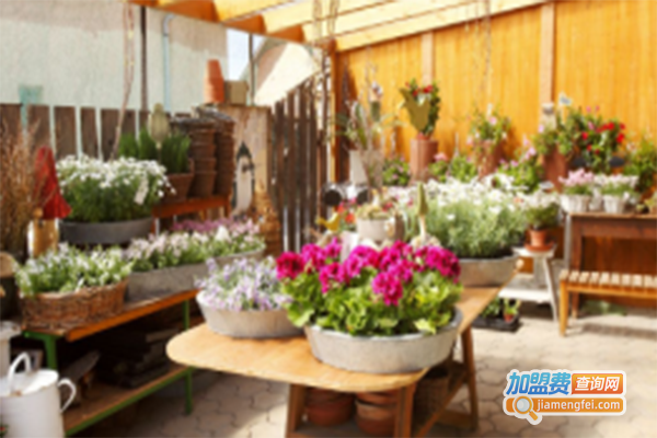 流星花园花店加盟费