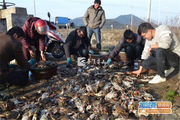 梭子蟹养殖加盟费