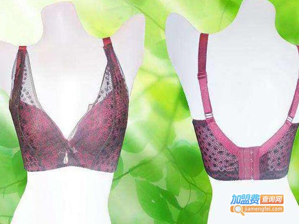 梦曼芬植物内衣加盟费