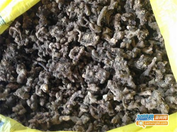 云南绿生中草药加盟门店