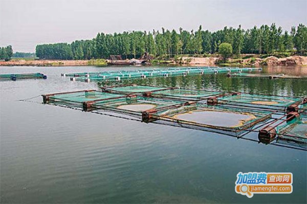 永和9号水产养殖加盟费