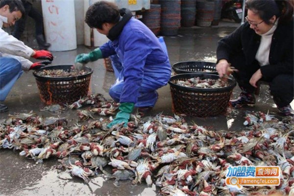 梭子蟹养殖加盟费