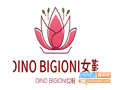 DINO BIGIONI女鞋加盟费