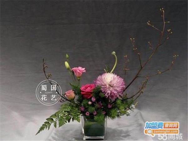 蜀国之声加盟门店