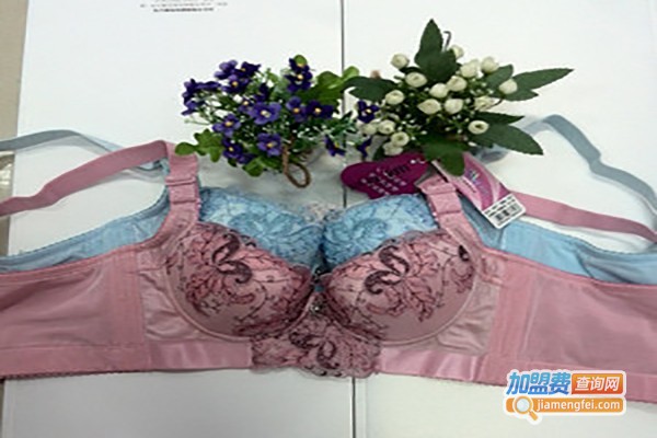 傲雪琪内衣加盟费