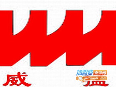 威猛振动设备加盟