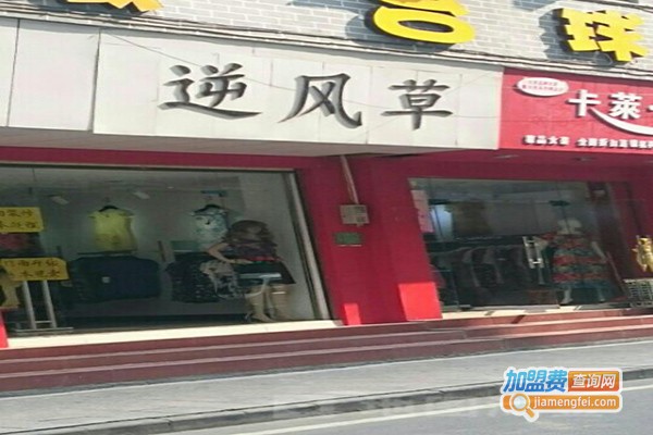 逆风草男装加盟门店