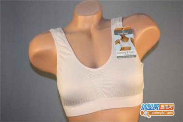 成人之美内衣加盟费