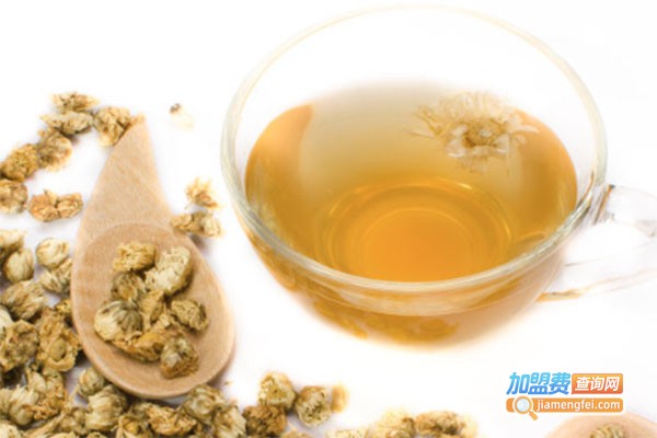 茶若初然加盟费