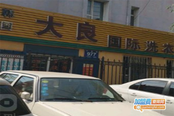 大良国际洗衣加盟费