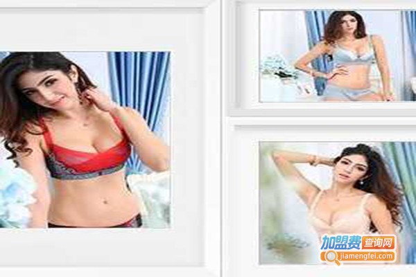 尚黛尔养生内衣加盟费