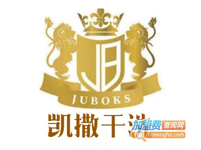 凯撒干洗加盟费