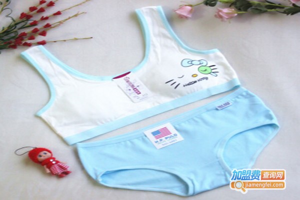 名韩养生内衣加盟费