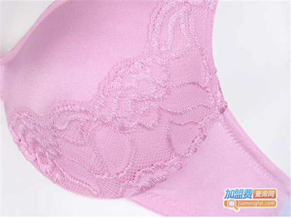 黛雅施内衣加盟门店