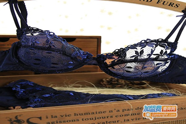 爱情海情趣内衣加盟费