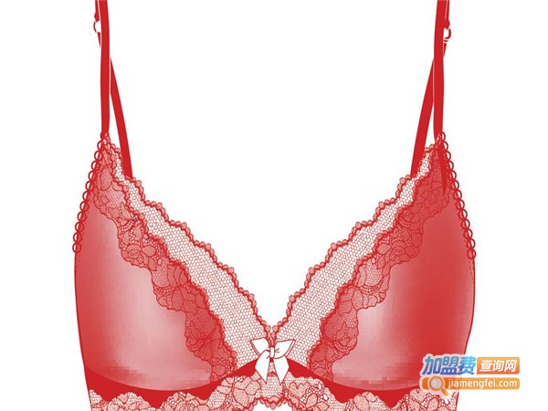 黛雅施内衣加盟门店