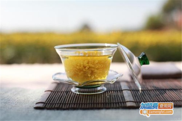 茶女子饮品加盟费