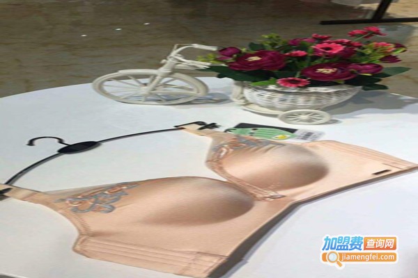 谜兰时黛内衣养生馆加盟费