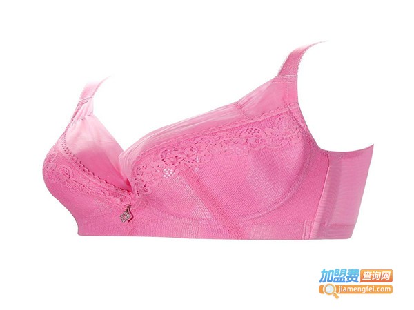 俏丹莉内衣加盟门店