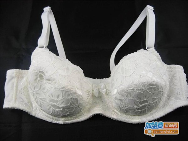 婀娜姿内衣加盟门店