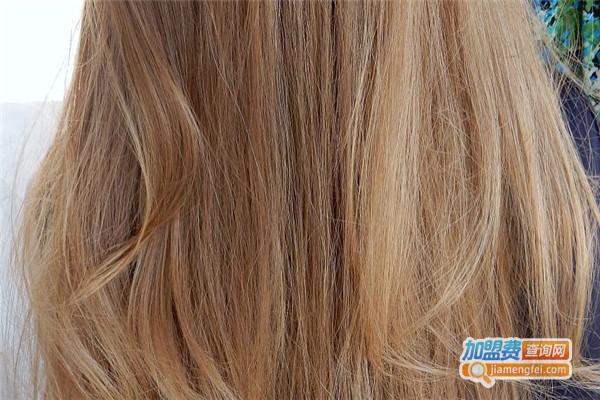 梦飞诗中药洗发加盟费