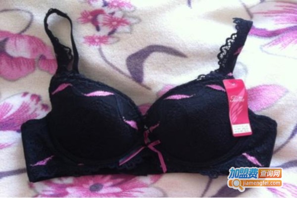 香港体会内衣加盟费