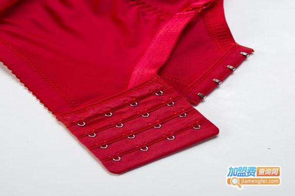 菲芬雅内衣加盟门店